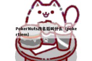 PokerNuts改名后叫什么（pokertiem）