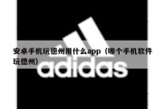 安卓手机玩德州用什么app（哪个手机软件玩德州）